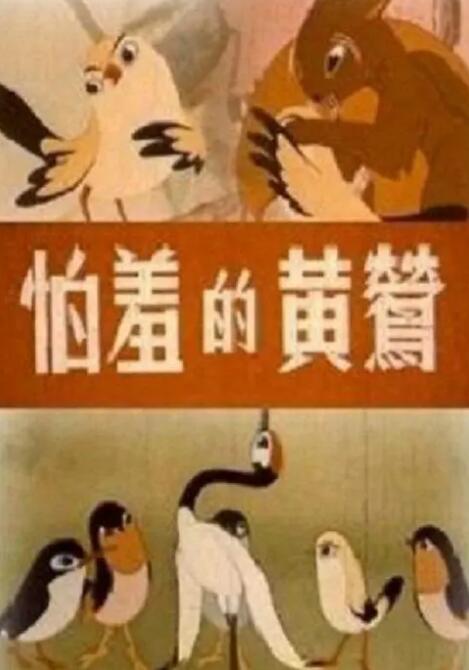 河北彩花视频
