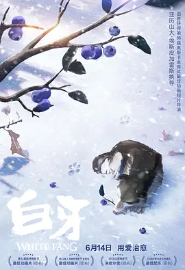 午夜成年人网站