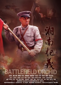 91一区二区
