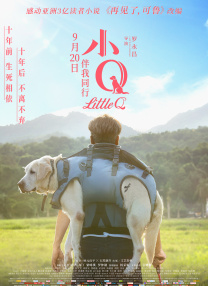 久久精品国产亚洲a