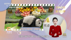 伦理影院一区